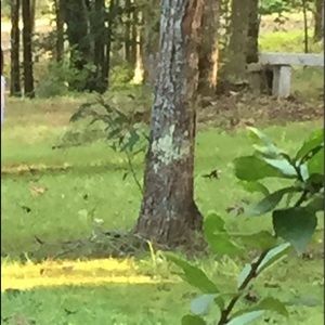 Meet your Posher, Mindy